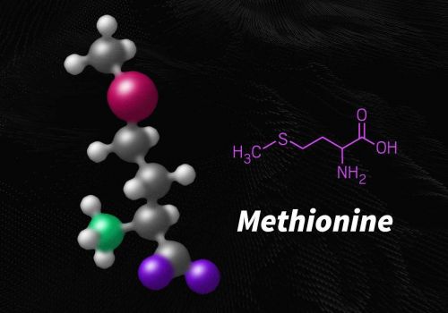Methionine – Axit amin cần thiết cho người phát triển cơ bắp
