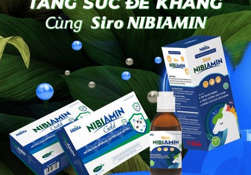 Nibifa ra mắt sản phẩm Siro NibiAmin tăng sức đề kháng phòng bệnh truyền nhiễm ( viêm đường hô hấp, cúm A)