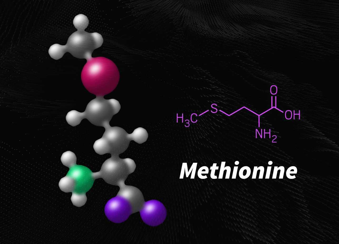 9.-Methionine-là-gì